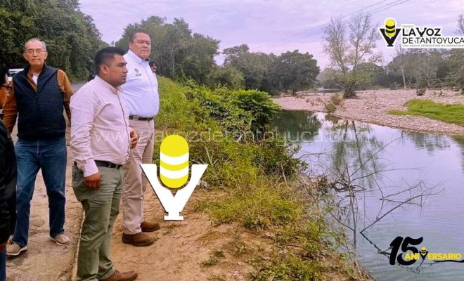 photo_5143261691477953416_y