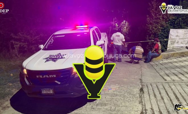 photo_5145667062142274810_y