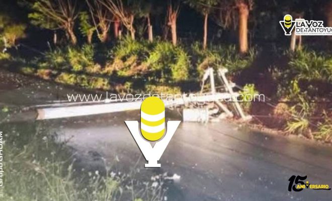 photo_5147620726801108162_y