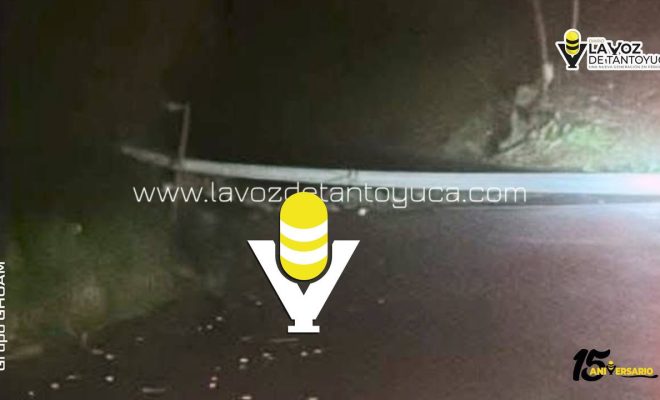 photo_5147620726801108163_y