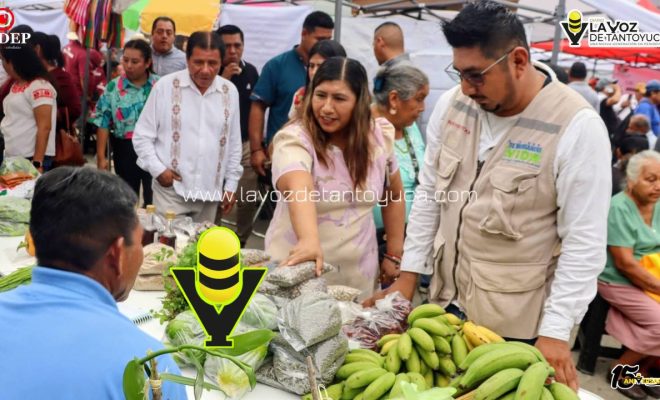 photo_5147652543918836823_y