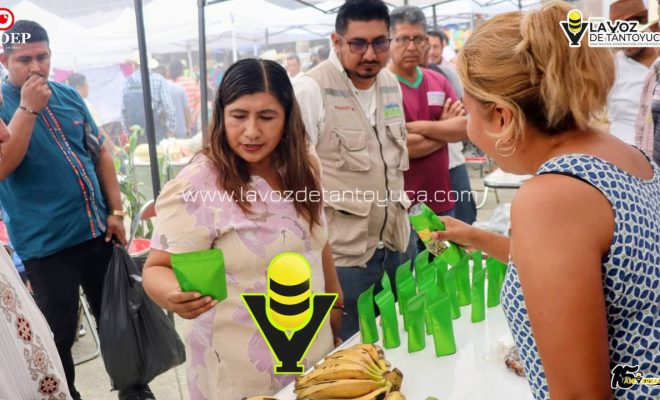 photo_5147652543918836824_y