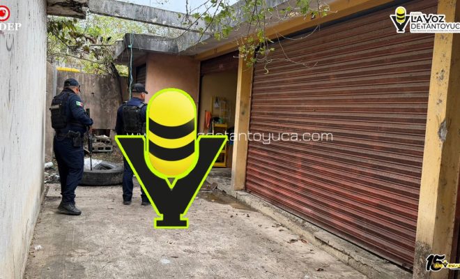 photo_5149904343732521954_y (1)