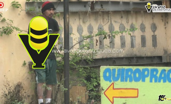 photo_5149904343732521955_y (1)