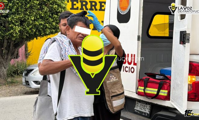 photo_5149904343732521957_y