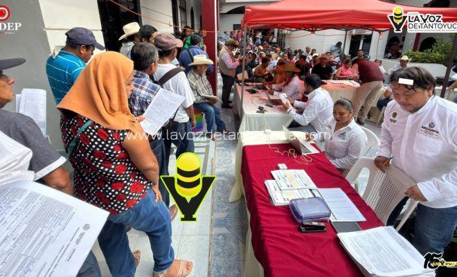 photo_5150005494507310089_y