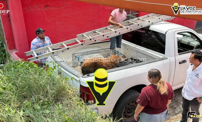 photo_5150005494507310142_y