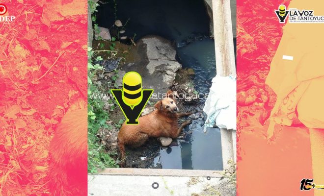 photo_5150005494507310143_y