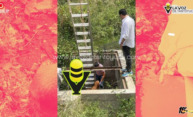 photo_5150005494507310144_y