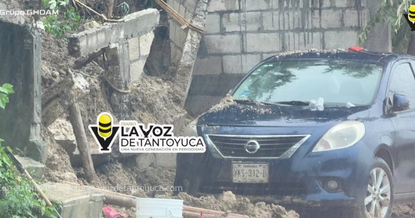 Cae barda sobre un vehículo