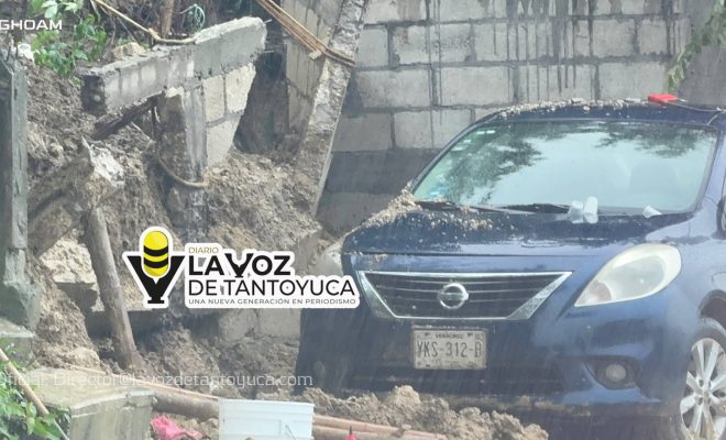 Cae barda sobre un vehículo