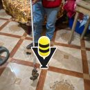 Protección Civil captura nuevamente una víbora en la colonia La Rivera Méndez