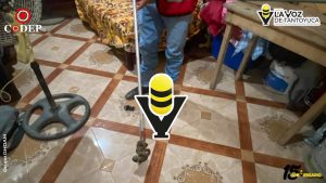 Protección Civil captura nuevamente una víbora en la colonia La Rivera Méndez