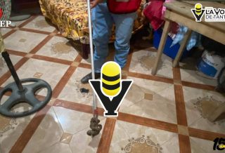 Protección Civil captura nuevamente una víbora en la colonia La Rivera Méndez