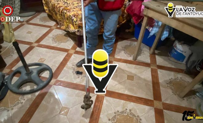 Protección Civil captura nuevamente una víbora en la colonia La Rivera Méndez