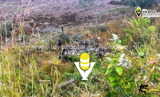 photo_5152660531620547514_y