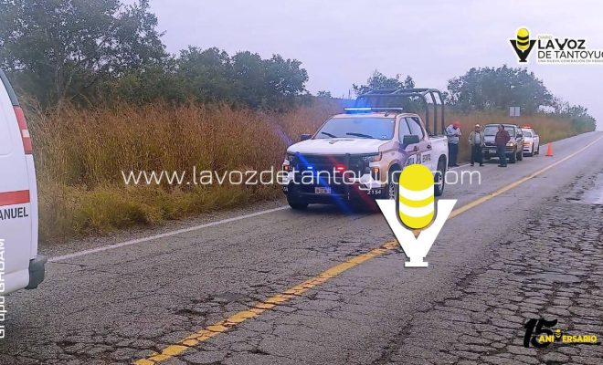 photo_5152660531620547516_y