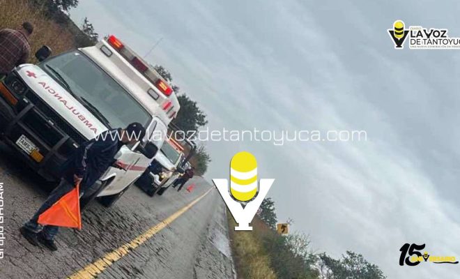 photo_5152660531620547517_y