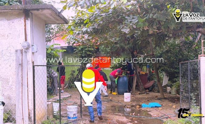 photo_5152660531620547540_y