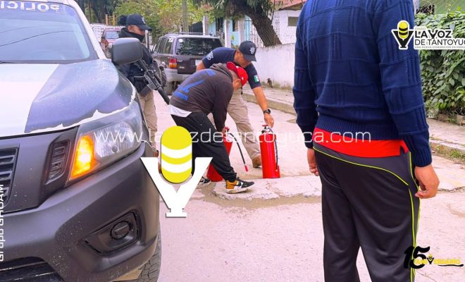 photo_5152660531620547542_y