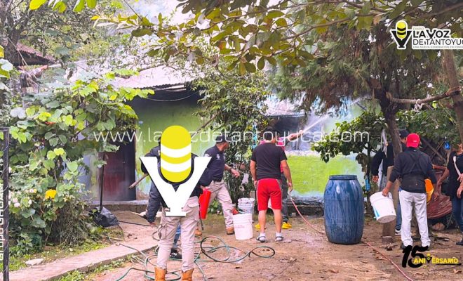 photo_5152660531620547543_y