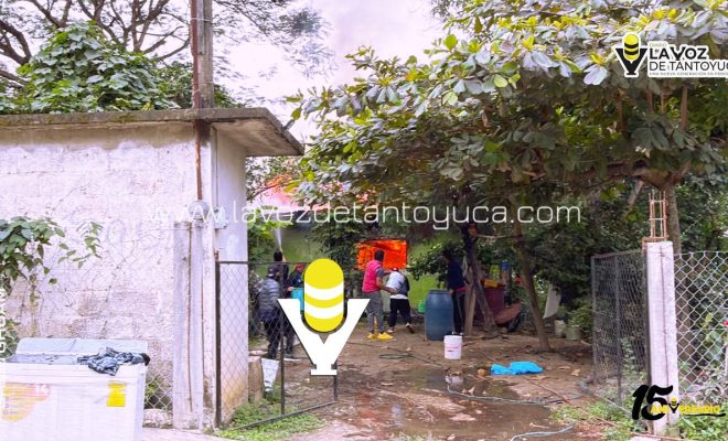 photo_5152660531620547545_y