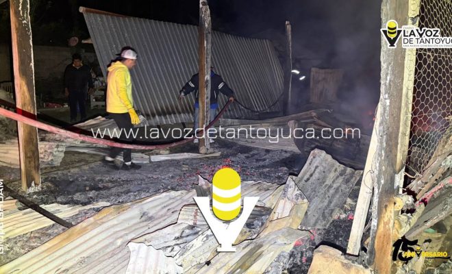 photo_5152660531620547555_y