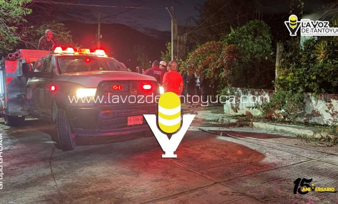 photo_5152660531620547562_y