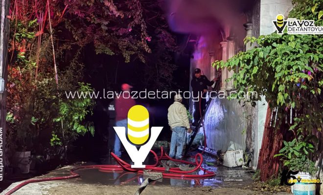 photo_5152660531620547564_y