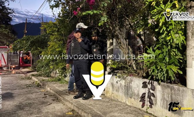 photo_5152660531620547566_y