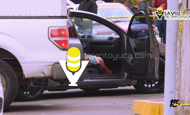 photo_5154407118726171464_y