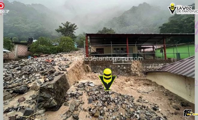 photo_5154509094134680503_y