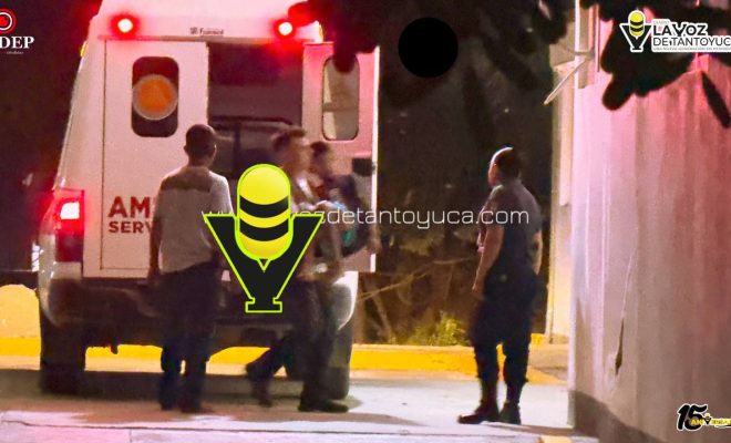 photo_5154509094134680527_y