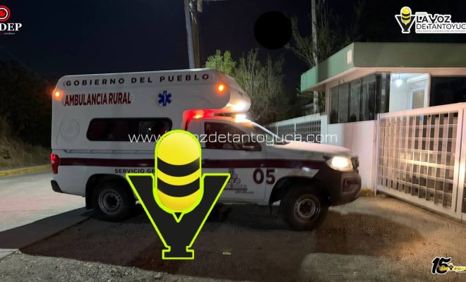 photo_5154509094134680529_y