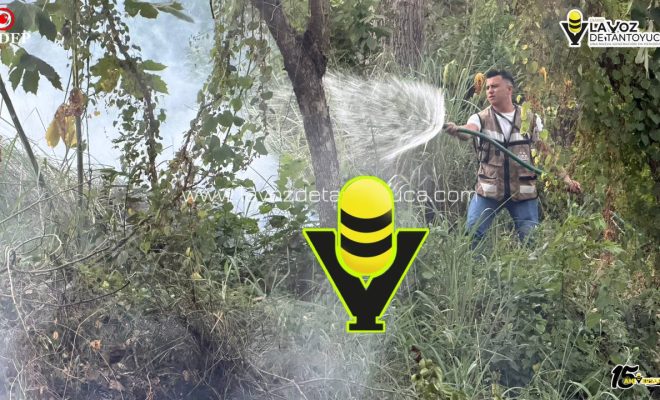 photo_5154509094134680532_y