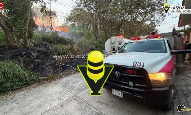 photo_5154509094134680533_y