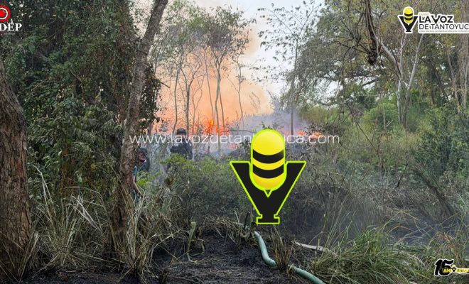 photo_5154509094134680534_y