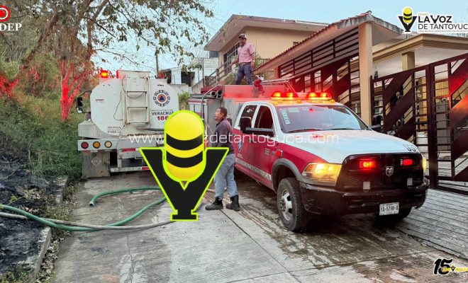 photo_5154509094134680535_y