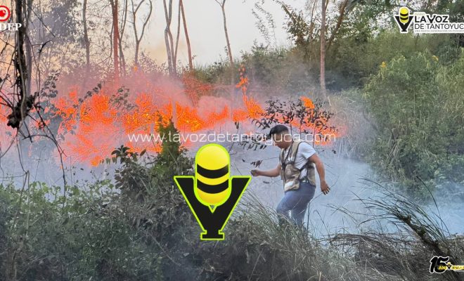 photo_5154509094134680537_y