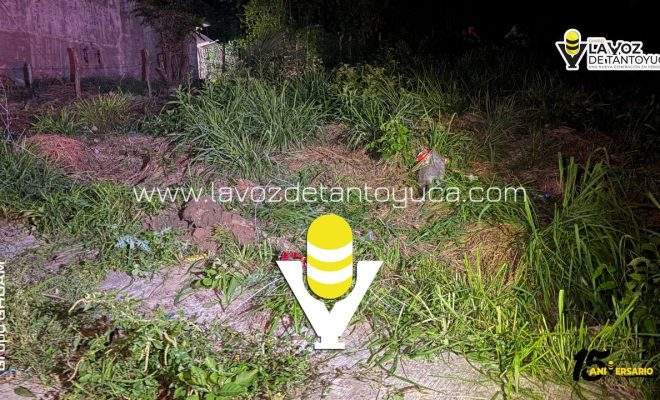 photo_5157102537121926101_y