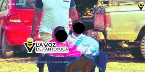 ¡Puente confirmado!; Habrá suspensión de clases en Veracruz previo a Día de Muertos