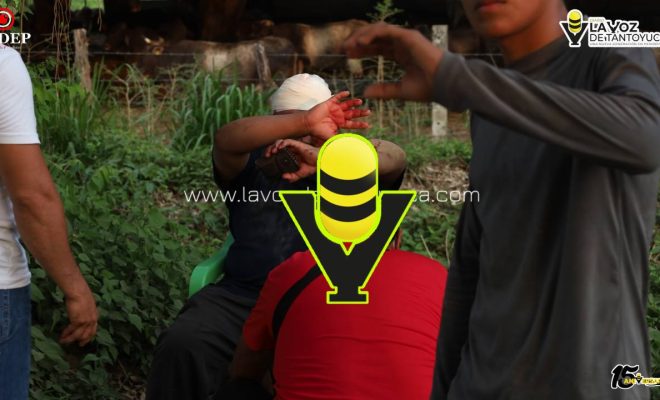 photo_5161324691837356977_y