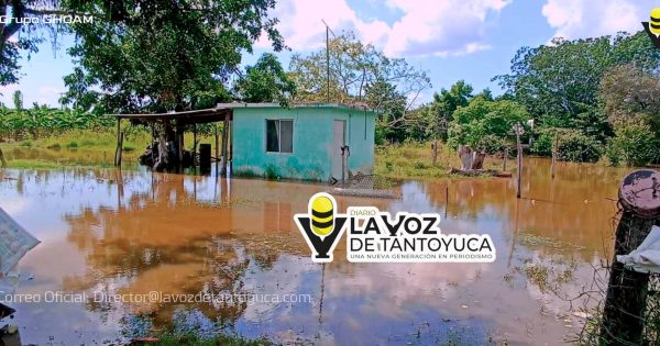 Comunidades de Pueblo Viejo en riesgo por el desbordamiento del río Pánuco: urgen apoyos oficiales