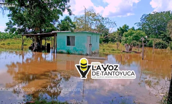 Comunidades de Pueblo Viejo en riesgo por el desbordamiento del río Pánuco: urgen apoyos oficiales