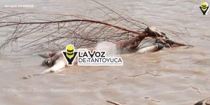 Chicontepecano es hallado sin vida en un río en Huautla, Hidalgo 
