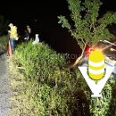 Árbol evita que camioneta caiga a un barranco