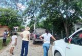 Protección Civil evalúa zonas de riesgo por árboles que afectan líneas eléctricas en Tlacolula