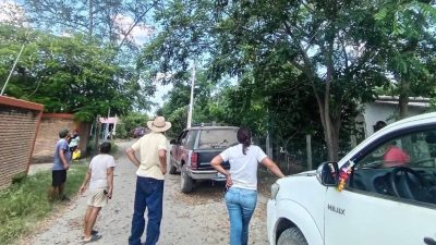 Protección Civil evalúa zonas de riesgo por árboles que afectan líneas eléctricas en Tlacolula