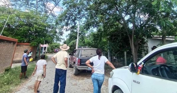 Protección Civil evalúa zonas de riesgo por árboles que afectan líneas eléctricas en Tlacolula