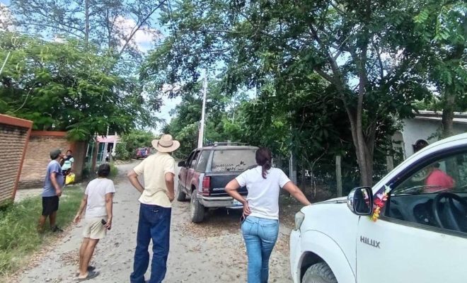 Protección Civil evalúa zonas de riesgo por árboles que afectan líneas eléctricas en Tlacolula